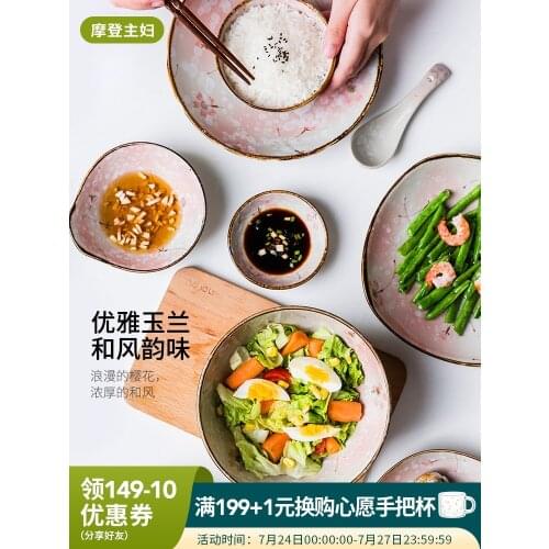 Japanese ceramic tableware dishes set home dish fish plate dish chopsticks combination