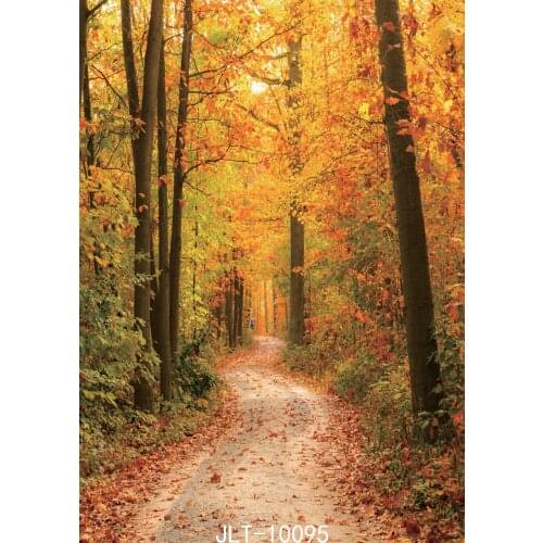 Trail in Autumn Forest Photography Backdrops Woodland Customized Children Baby PhotoShoot Background for Photo Studio