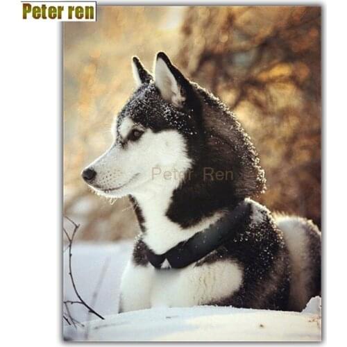 Peter ren Diy diamond painting cross stitch Craft diamond embroidery Siberian husky round icon Full Mosaic diamond Snow Huskies