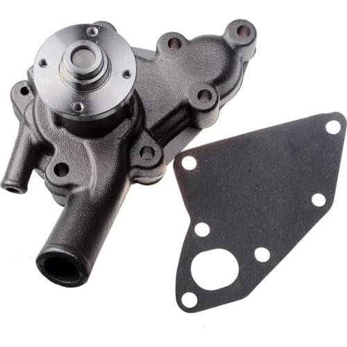 Water Pump Z8943768300 Fit for TS1610 TS1910 TS2220 TS2000 TS2510 Tractor