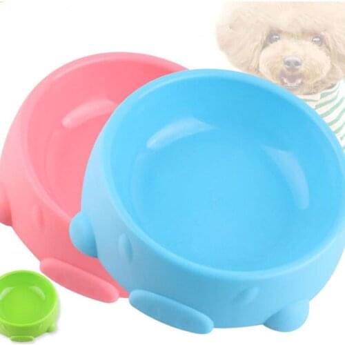 New Creative Animal Food Bowls Single Bowl Pet Cat Drinking Water Bowl Cartoon PP Pet Bowl For Dog Cat