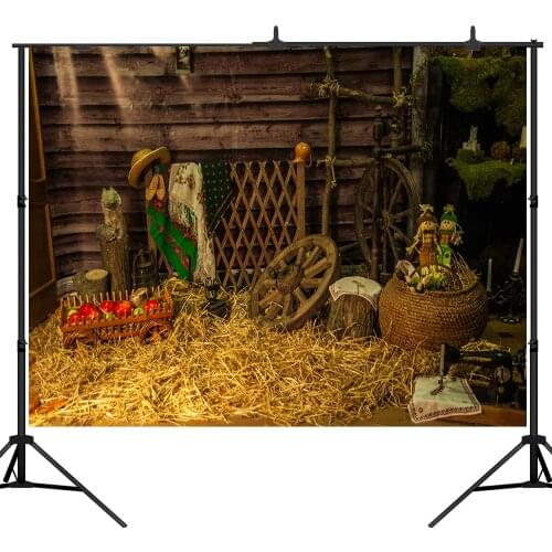 Lyavshi farm wooden house haystack doll flowers photography background