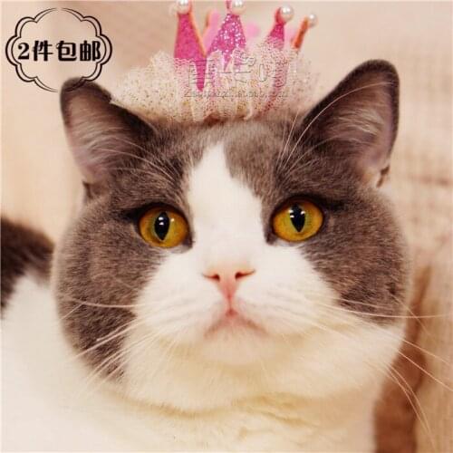 Pet Headdress Cat Dog Dog Dress Up Cute Crown Jewelry Birthday Hat Hairpin Hat Props Jewelry Accessories