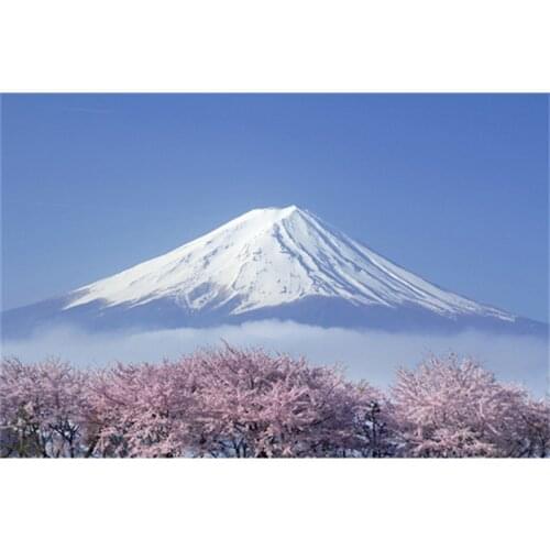 Apricot & Snow Mountain Diamond Embroidery, Diamond Painting, Picture Of Rhinestones Full Square Diamond Mosaic Kit A6711R