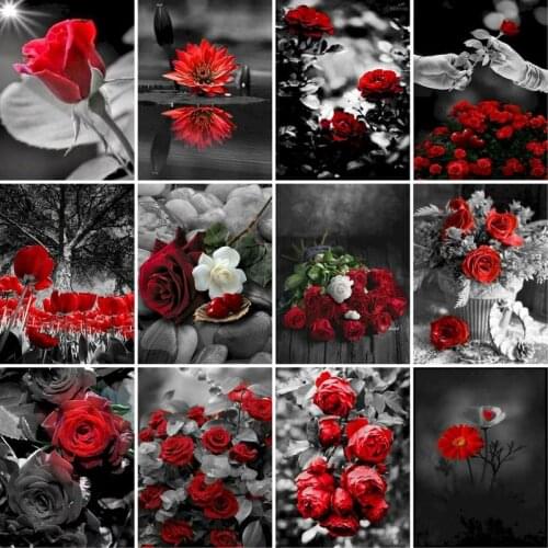 GATYZTORY Frame Red Flower DIY Paint By Numbers 60x75cm Oil Painting By Numbers For Adult Digital Painting On Canvas Unique Gift