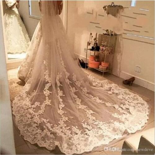 2019 Champagne Bridal Veils Stunning Lace Appliques Wedding Veils Cathedral Train Two Layers Bridal Veil With Comb Custom Made