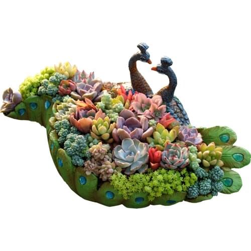 Handmade Peacock Succulent Planter Pot Vintage Cactus Planter Flower Pot Succulent Container Decorative Succulent Planter