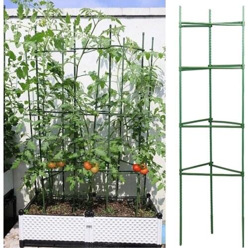 Climbing Vine Support Vegetables Farm Flower Fruit Tied Bundle Branch Clamping Plant Too Garden Plant Fix Clip Plastic Rack Stem