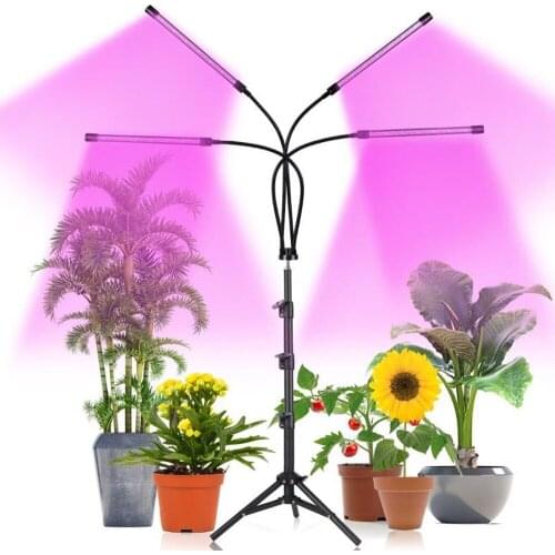 WomgL LED Plant Lamps