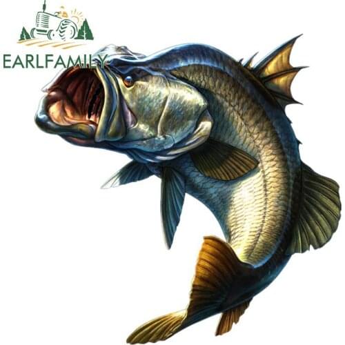 EARLFAMILY 13cm x 12.8cm Go Fish Fishing Car Stickers Auto Motorcycle Decals 3D Styling Motorcycle Car Decal Accessories