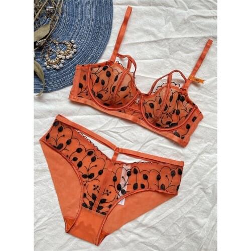 Wriufred Thin fashion contrast color lingerie embroidery underwear women no sponge big breasts sexy perspective bra panty set