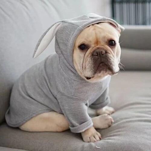 Cute Dog Cat Hoodies Warm Sweatshirt For Small Breeds Dogs Puppy Pet Clothes Rabbit Ear Chihuahua Clothing Pug French Bulldog