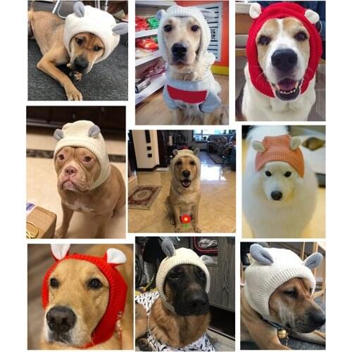Hengsong Hats For Dogs