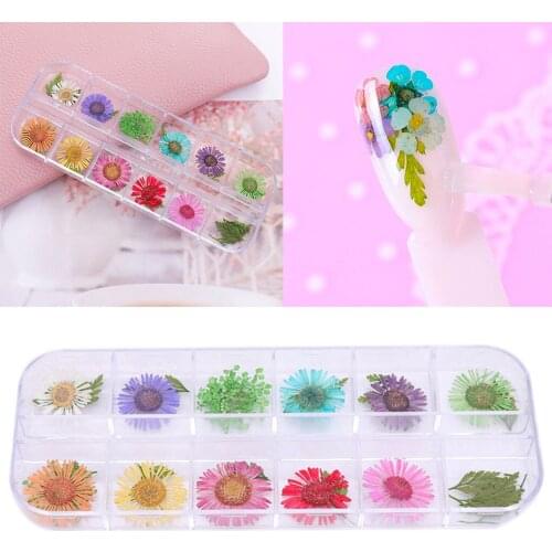 12 Grid Dried Flowers Leaf Nail Decoration Natural Floral Sticker Beauty Nail Art Decals 3D DIY UV Gel Polish Manicure Decors