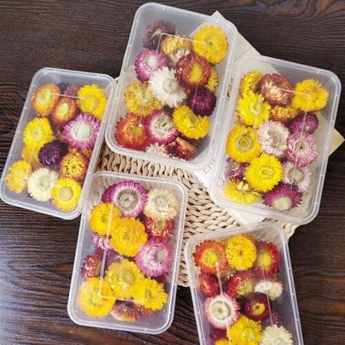 Natural Colorful Chrysanthemum Dried Flower Heads Wedding Flower Centerpieces Dry Flower Preserved Flower
