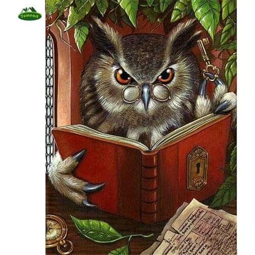 Diamond Drawing Painting By Number Glass Owl Reading Book Diamond Embroidery Cross Stitch Modern Novelty YHAll Home Decal