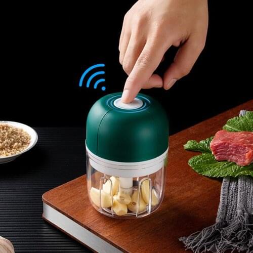 100/250mL Mini Electric Garlic Chopper USB Charging Ginger Masher Machine Meat Chili Vegetable Crusher Household Food Mixer