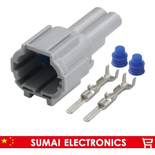 10 sets 2Pin 2.2mm female car connector,Small lamp plug, fog lamp plug,Car Electrical connector for Nissan New Teana