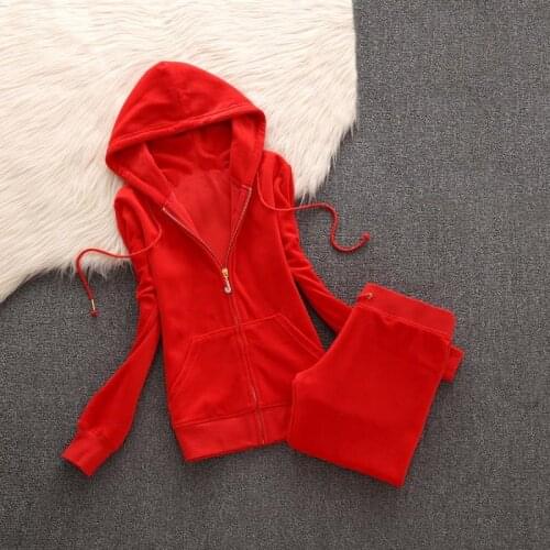 2021 Spring/Fall Womens Brand Velvet Fabric Tracksuits Velour Track Suit Women Hoodies And Pants Fat Sister Sportswear