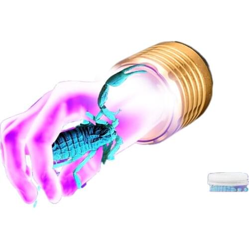 Scorpion light violet as specific scorpion scorpion catching bright flashlight rechargeable power head mounted Scorpions catch h