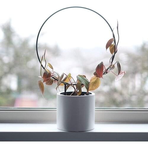 Vine Climbing Rack Iron Vegetables Plant Trellis Durable Plant Support Frame Plant Flower Decorative Gardening Tools Creative