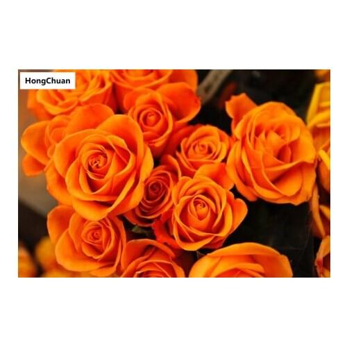 Orange rose 5D DIY full diamond round/square cartoon diamond embroidery mosaic cross stitch diamond painting mural, New Year