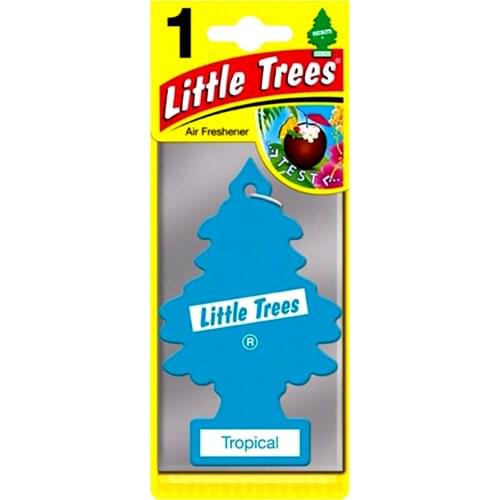 Little Trees Car Air Fresheners