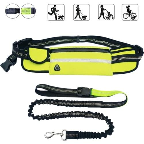 Pet Dog Leash Cat Running Jogging Dog Leashes Set Waist Pocket Adjustable Reflective Strip Elastic Dog Training Leash Hands Free
