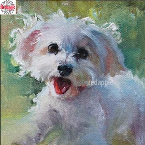 Goods For Individual Orders REDAPPLE China