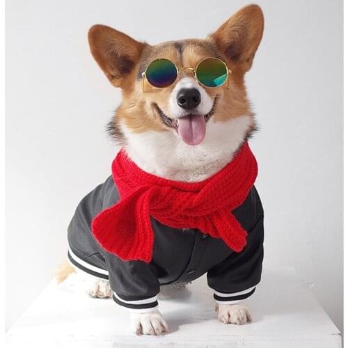 Winter Pet Dog Clothes PU Leather Jacket Pets Dogs Coat Jacket Warm Clothes Windproof Puppy Jacket for Small Dog Costumes Jacket