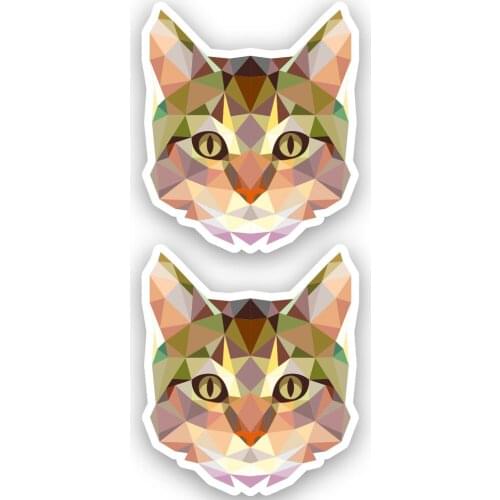 Polygonal Triangle Design Cat 2'li Set Sticker Plane Extreme