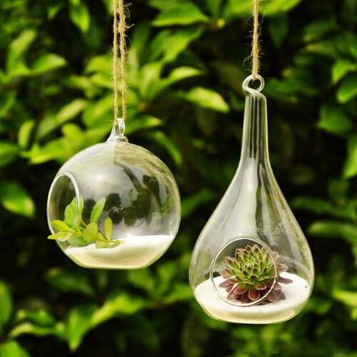 10/12cm Transparent Clear Glass Round Terrarium Flower Plant Stand Hanging Vase Hydroponic Home Office Wedding Garden Decor