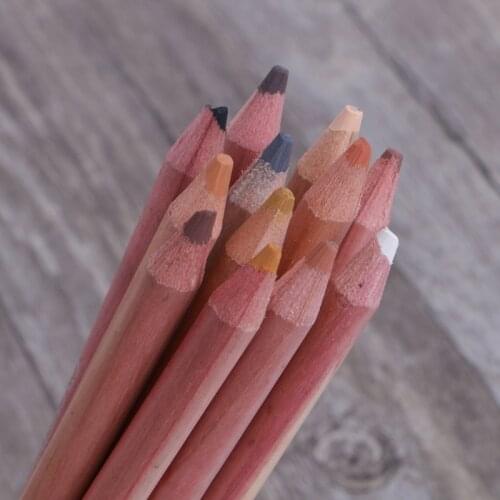 12Pcs Professional Soft Pastel Pencils Wood Skin Tint Pastel Colored Pencil