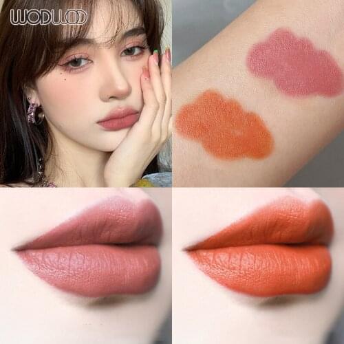 Matte Moisturizing Waterproof Lipstick Pen With Lip Brush Is Not Easy To Decolorize Matte Lipstick Lip Liner Makeup TSLM1