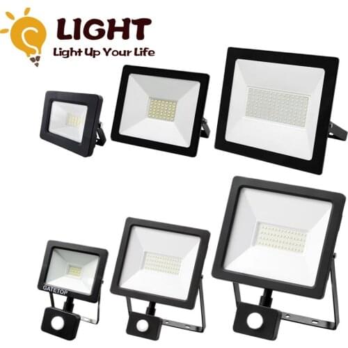 LED Floodlight Induction Style 10W 30W 50W 100W Motion Sensor IP65 Cold White Light 6000K Human Body Induction Water Proof Lamp