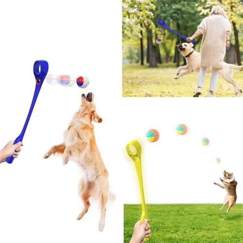 Portable Interactive Dog Training Toy Ball Pet Tossing Agility Speed Training Toy Equipment Pet Throwing Stick With Molar Ball