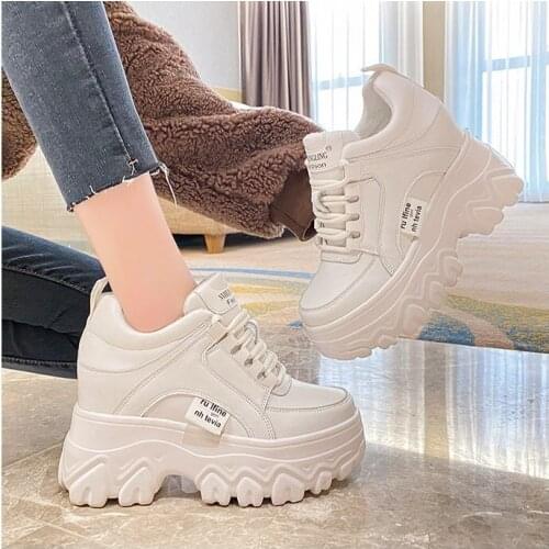 Women Winter Platform Sneakers Warm Fur Plush Insole Ankle Boots Women Spring Chunky Shoes Lace-up Tennis Shoes Woman BB-97