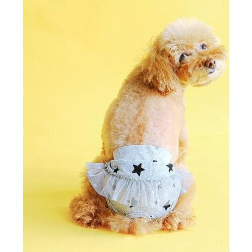 Cute Bitch Girl Pet Panties for Dogs Estrus Dog Underwear Ropa Interior Femenina Sexy Erotica Porno Empapadores para perros