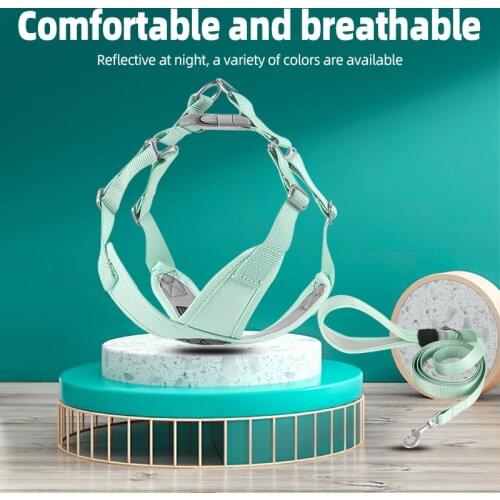 Pet chest strap, Chest Strap fresh summer dog leash, pet supplies Small And Medium-Sized Dogs Cats Dog leashes Pet Supplies