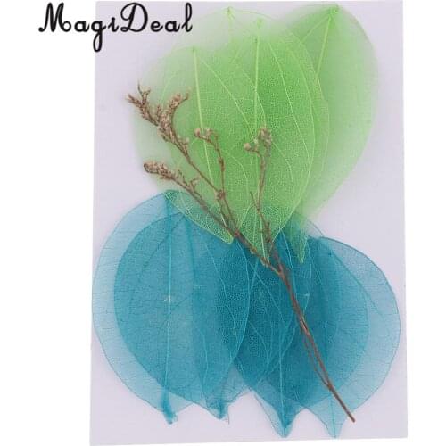 10Pcs Mixed Pressed Dried Real Magnolia Skeleton Leaves for Scrapbooking Embellishments, Candles, Cards Making, Bookmarks