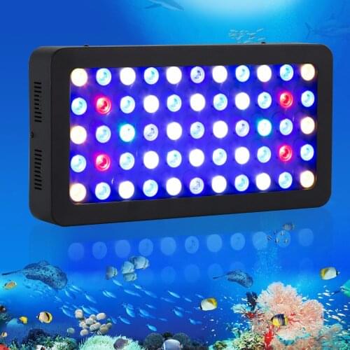 Populargrow LED Plant Lamps