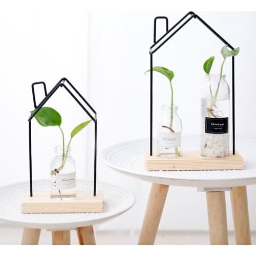 Home Decor Geometry Style Micro-landscape Hydroponic Bottle Office Decoration Glass Iron Vase Glass Continent Desktop Vases