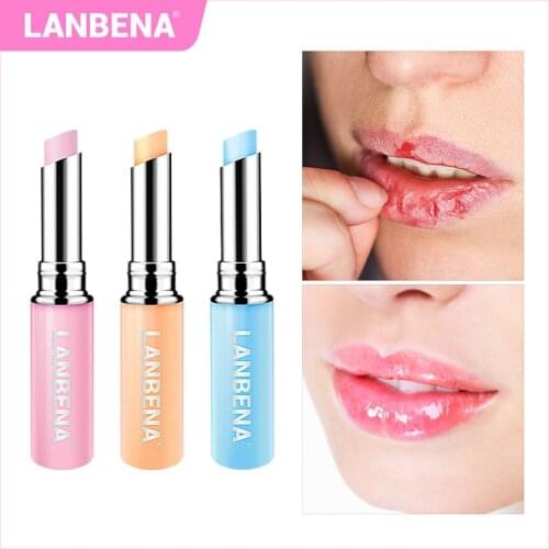 Rose Lip Balm Natural Extract Fade Lip Lines Long-lasting Nourishing Lip Plumper Relieve Dryness Lip Care Daily Use