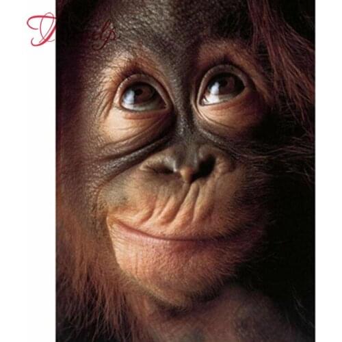 5D DIY spuare Diamond embroidery Grappige Aap diamond painting Cross Stitch full drill Rhinestone mosaic decoration