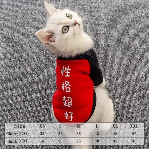 HOKERBAT Kitten Clothes Summer Thin Pajamas Blue Cat kitten Net Red Cute Pet Dog Clothes To Prevent Hairy Summer Pet Clothes