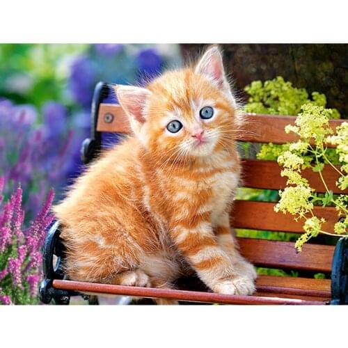 5D DIY Diamond Painting Animal kitten Full Square Diamond Embroidery Cat Mosaic Picture with rhinestones home decor gift Sale
