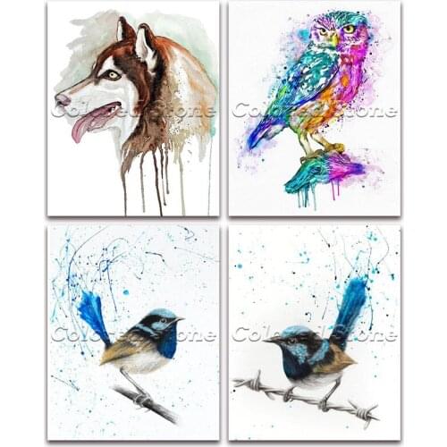 5D Full Square Diamond painting embroidery Cross stitch Animal colorful dog owl bird 3D DIY Round Drill Drawing mosaic 083