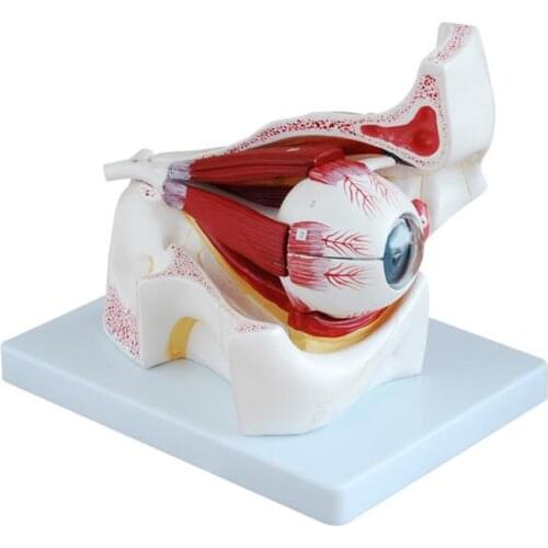 PLLCUTE Goods For Training