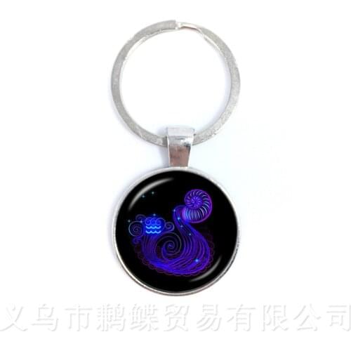 Scorpio,Sagittarius,Aquarius,Pisces Zodiac Signs Keychains Twelve Constellations Cabochon Glass Time Gem Birthday StarSign Gift