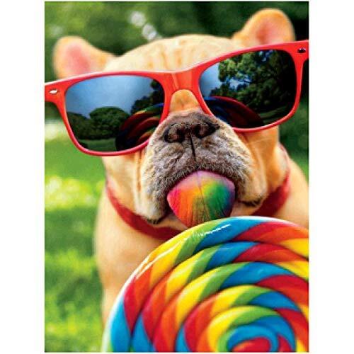 5D Diamond Painting Sunglasses Puppy Candy Lollipop Animal Diamond Embroidery Full Of Diamond Wall Decoration Art